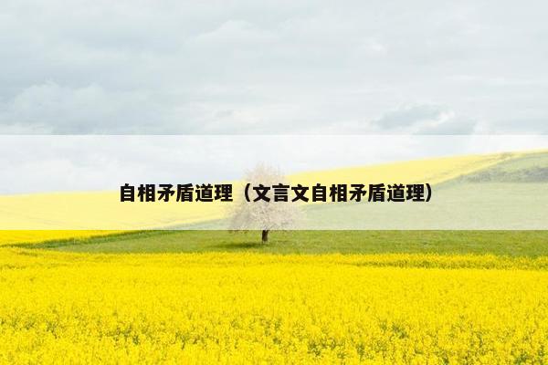 自相矛盾道理（文言文自相矛盾道理）