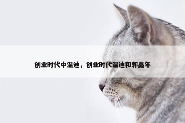 创业时代中温迪，创业时代温迪和郭鑫年
