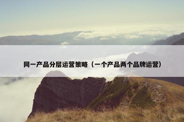 同一产品分层运营策略（一个产品两个品牌运营）