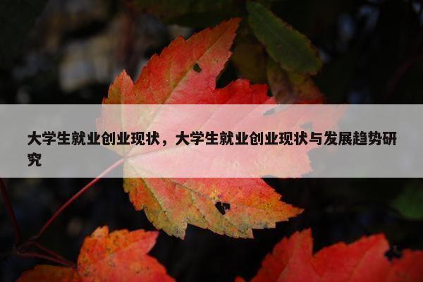 大学生就业创业现状，大学生就业创业现状与发展趋势研究