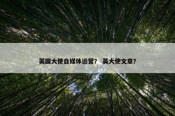 英国大使自媒体运营？ 英大使文章？