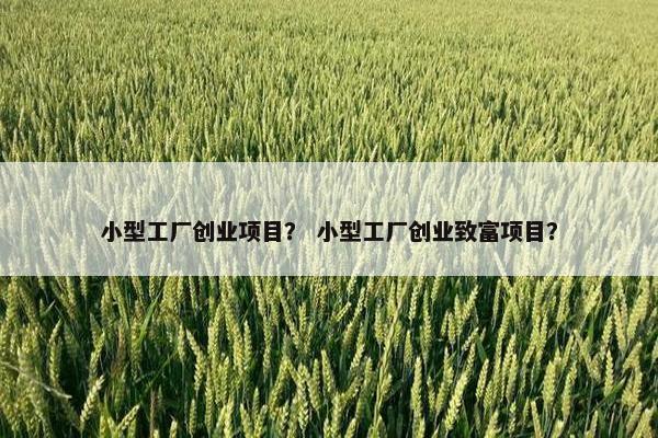 小型工厂创业项目？ 小型工厂创业致富项目？