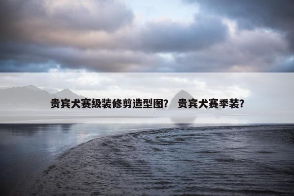 贵宾犬赛级装修剪造型图？ 贵宾犬赛季装？