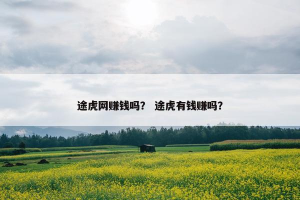 途虎网赚钱吗？ 途虎有钱赚吗？