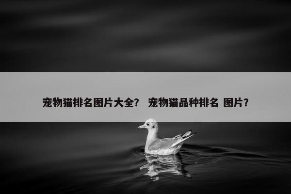 宠物猫排名图片大全？ 宠物猫品种排名 图片？