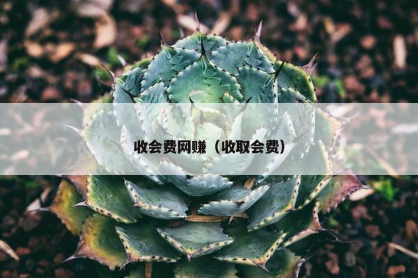 收会费网赚（收取会费）
