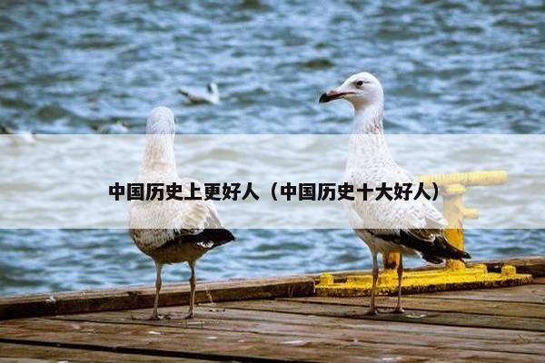 中国历史上更好人（中国历史十大好人）