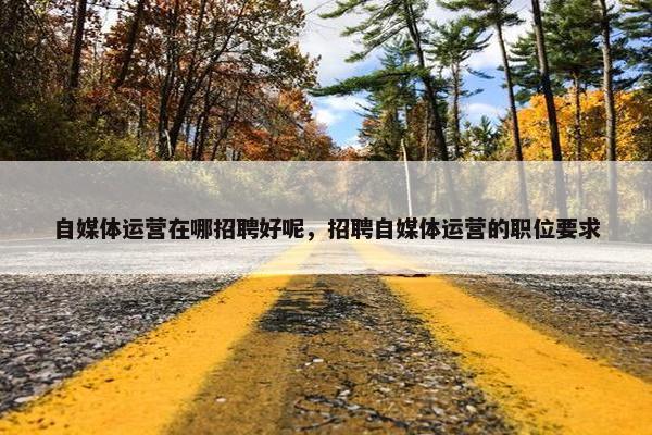 自媒体运营在哪招聘好呢，招聘自媒体运营的职位要求