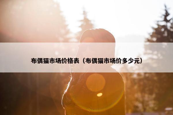 布偶猫市场价格表（布偶猫市场价多少元）