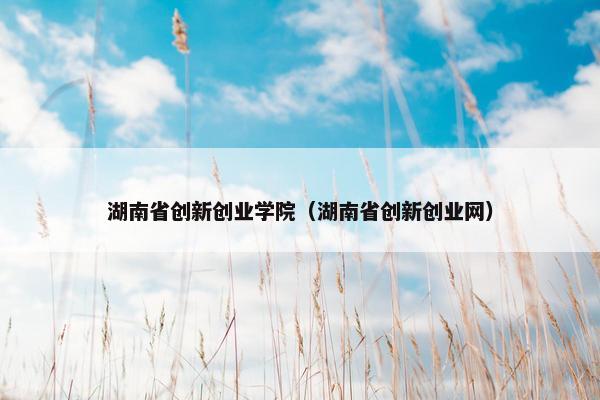 湖南省创新创业学院（湖南省创新创业网）