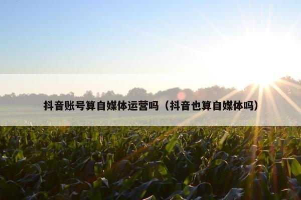 抖音账号算自媒体运营吗（抖音也算自媒体吗）