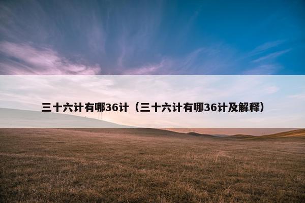 三十六计有哪36计（三十六计有哪36计及解释）