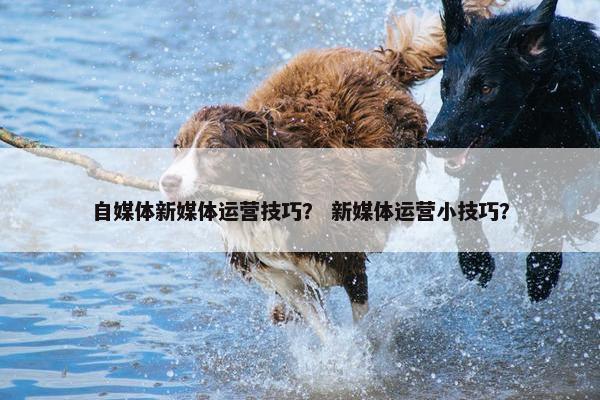 自媒体新媒体运营技巧？ 新媒体运营小技巧？