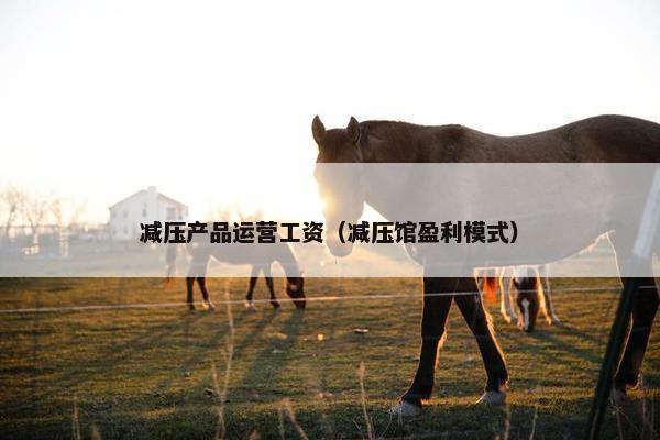减压产品运营工资（减压馆盈利模式）