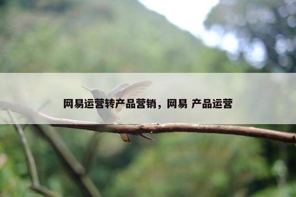 网易运营转产品营销，网易 产品运营