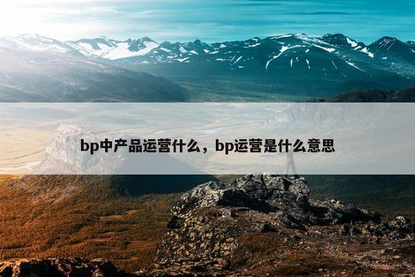 bp中产品运营什么，bp运营是什么意思