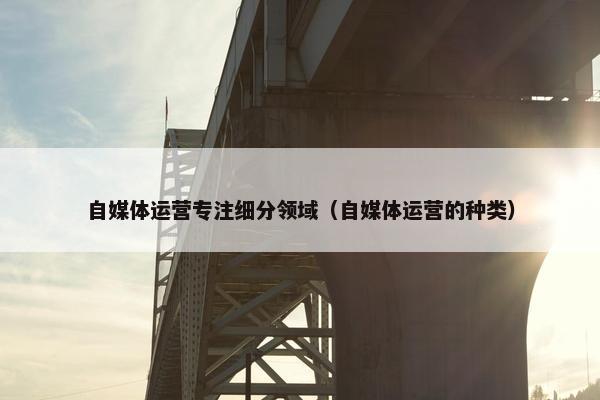 自媒体运营专注细分领域（自媒体运营的种类）