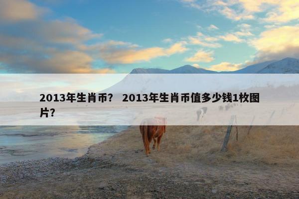 2013年生肖币？ 2013年生肖币值多少钱1枚图片？