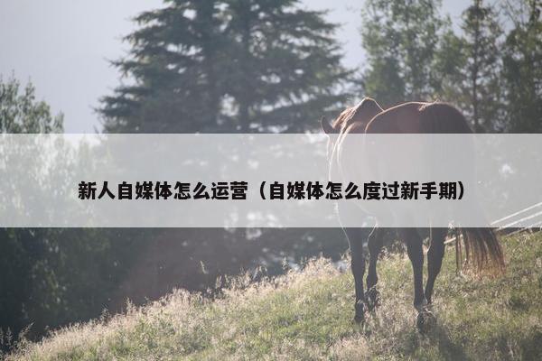 新人自媒体怎么运营（自媒体怎么度过新手期）