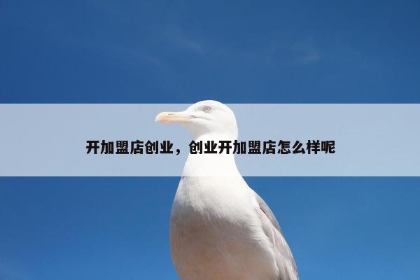 开加盟店创业，创业开加盟店怎么样呢