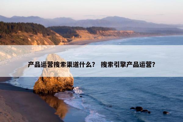 产品运营搜索渠道什么？ 搜索引擎产品运营？
