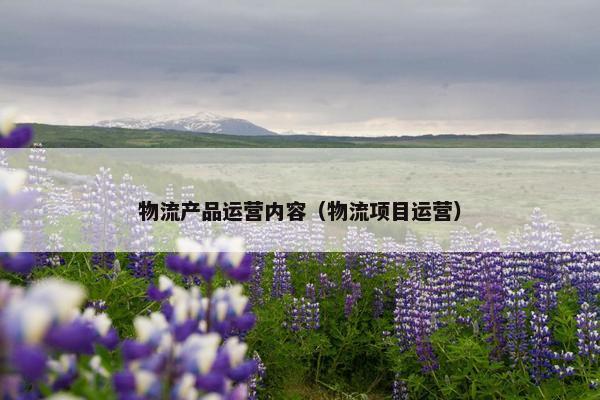 物流产品运营内容（物流项目运营）