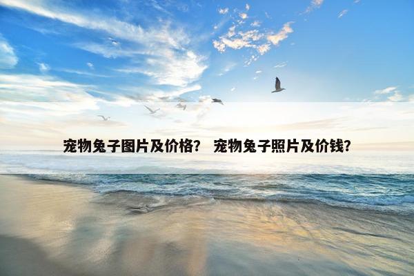 宠物兔子图片及价格？ 宠物兔子照片及价钱？