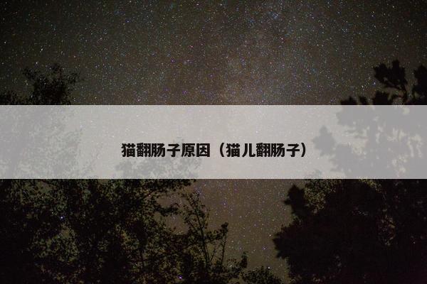 猫翻肠子原因（猫儿翻肠子）