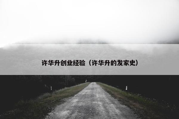 许华升创业经验（许华升的发家史）