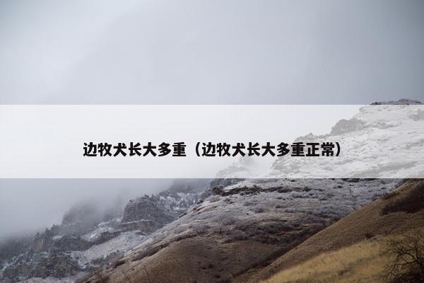 边牧犬长大多重（边牧犬长大多重正常）