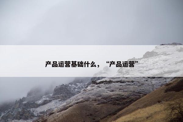 产品运营基础什么，“产品运营”