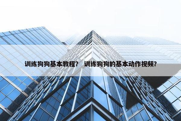训练狗狗基本教程？ 训练狗狗的基本动作视频？