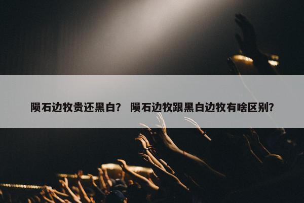 陨石边牧贵还黑白？ 陨石边牧跟黑白边牧有啥区别？