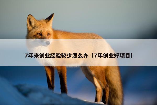 7年来创业经验较少怎么办（7年创业好项目）