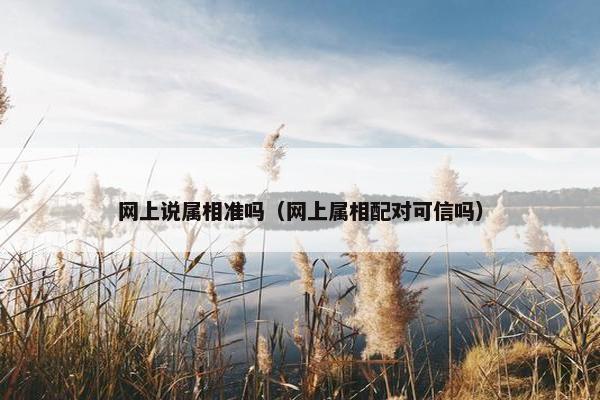 网上说属相准吗（网上属相配对可信吗）