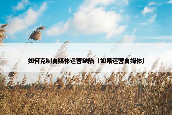 如何克制自媒体运营缺陷（如果运营自媒体）