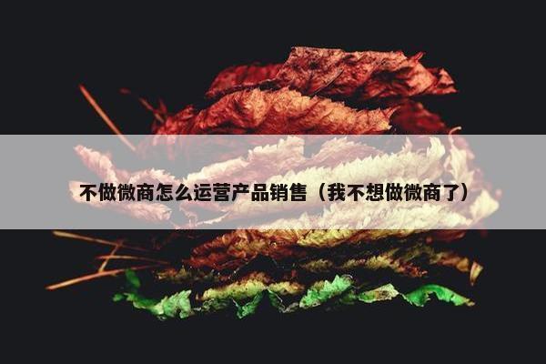 不做微商怎么运营产品销售（我不想做微商了）