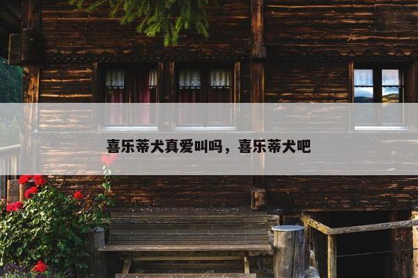 喜乐蒂犬真爱叫吗，喜乐蒂犬吧