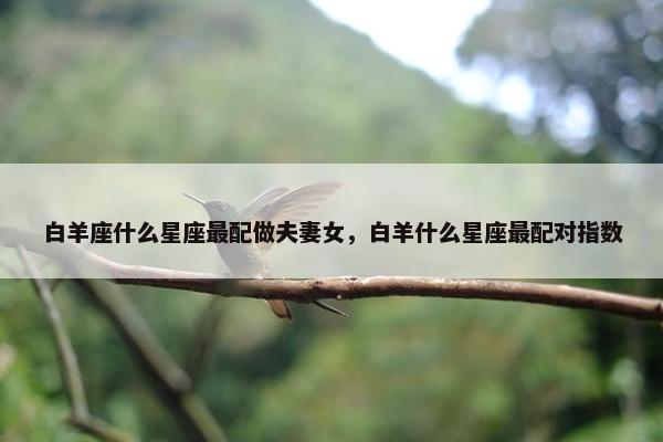 白羊座什么星座最配做夫妻女，白羊什么星座最配对指数