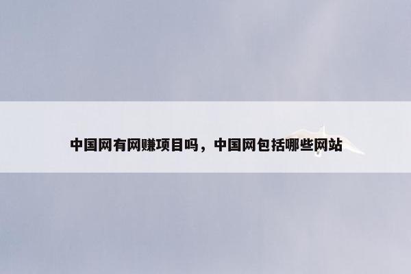 中国网有网赚项目吗，中国网包括哪些网站