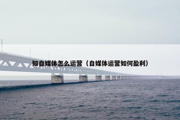 知自媒体怎么运营（自媒体运营如何盈利）
