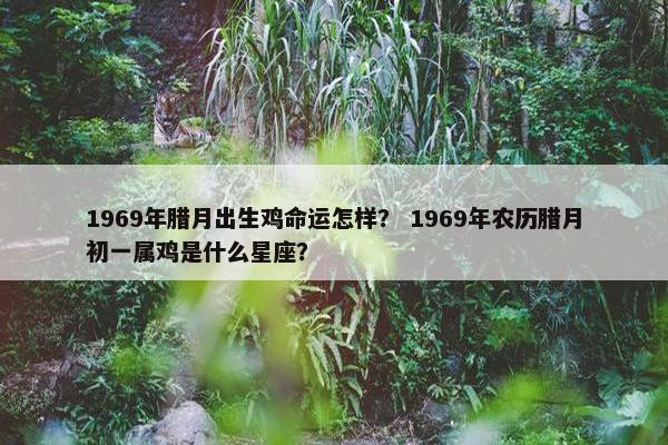 1969年腊月出生鸡命运怎样？ 1969年农历腊月初一属鸡是什么星座？