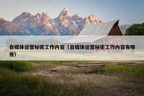 自媒体运营秘密工作内容（自媒体运营秘密工作内容有哪些）
