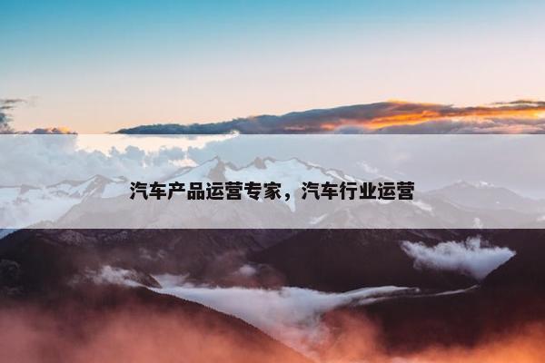 汽车产品运营专家，汽车行业运营