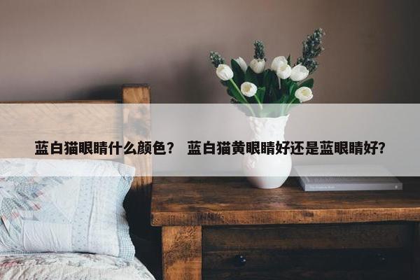 蓝白猫眼睛什么颜色？ 蓝白猫黄眼睛好还是蓝眼睛好？