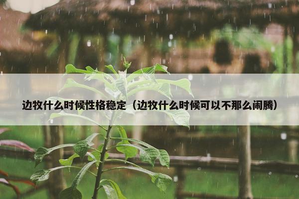 边牧什么时候性格稳定（边牧什么时候可以不那么闹腾）