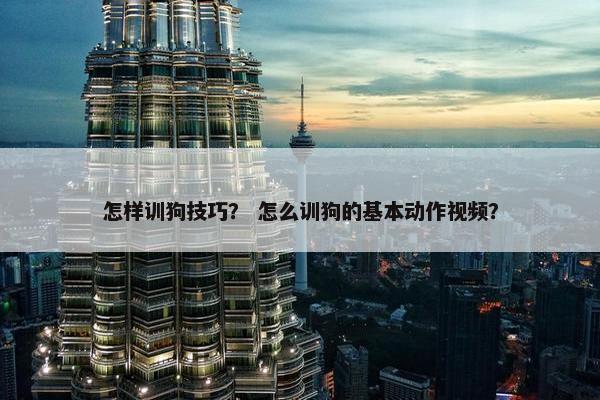 怎样训狗技巧？ 怎么训狗的基本动作视频？