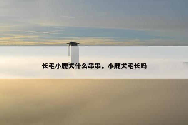 长毛小鹿犬什么串串，小鹿犬毛长吗