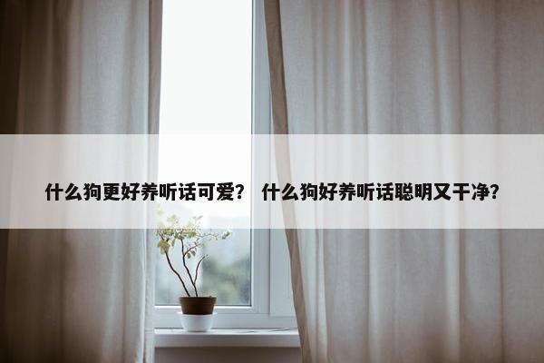 什么狗更好养听话可爱？ 什么狗好养听话聪明又干净？