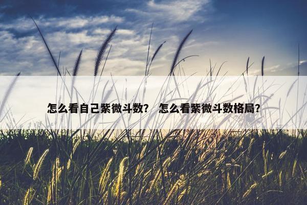 怎么看自己紫微斗数？ 怎么看紫微斗数格局？